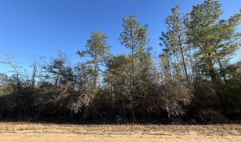 Goreville Avenue, Alford, FL 32420