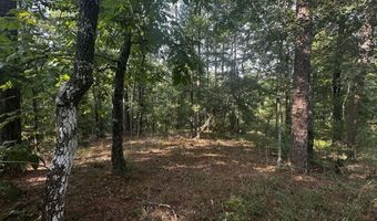 137 Shorter Rd, Braxton, MS 39044