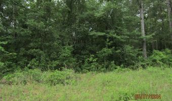 7275 Beulah Ln, Baconton, GA 31716