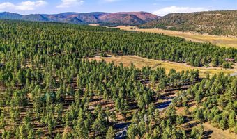 25319 US Hwy 191, Alpine, AZ 85920