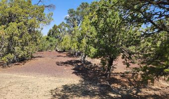 15 Co Rd 3041, Concho, AZ 85924