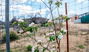 5031 W Tennessee Ave, Chloride, AZ 86431