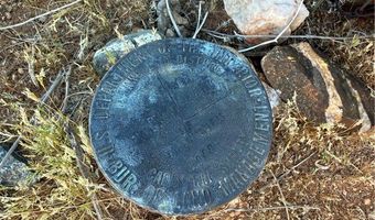 3 Rd St, Chloride, AZ 86431