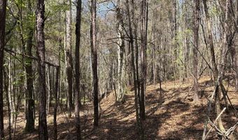SW Auburn Drive, Bogue Chitto, MS 39629