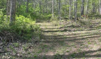 Martins Creek Road, Barnardsville, NC 28709