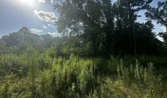 137 Shorter Rd, Braxton, MS 39044