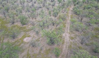 Tbd TBA County Road 100, Abilene, TX 79601