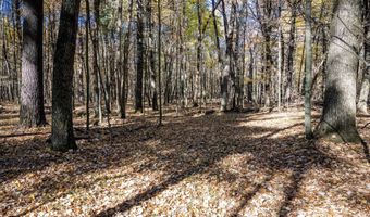 Lot 33 S Badger Lane, Arkdale, WI 54613