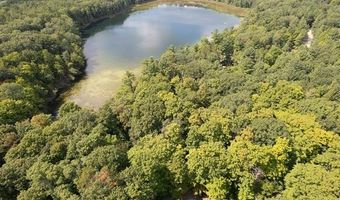 16568 WAGNER Rd, Almira, MI 49650