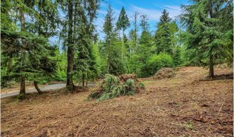 Ziak-Gnat Creek Ln, Astoria, OR 97103