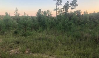 LAKE SECESSION Road, Abbeville, SC 29620