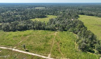 38774 S Mccarrol Rd, Amite, LA 70422