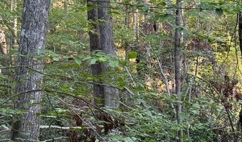 Tract 2 Dunaway Road, Beattyville, KY 41311