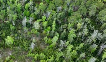 CASTLE CIRCLE, Alford, FL 32420