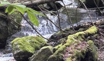 Davis Acres Road, Brookfield, VT 05060