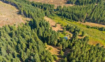 401 APPLETON Rd, Appleton, WA 98602