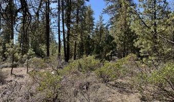 Horned Owl Lane, Bonanza, OR 97623
