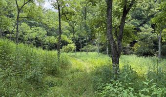 Hall Hollow Road, Austinville, VA 24312
