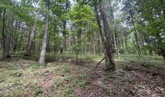 S HAGANS Road, Ashland, MO 65010