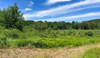 0 Woodland Hills Rd, Andes, NY 13731