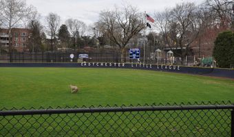 240 Garth Rd Unit 6B2, Scarsdale, NY 10583