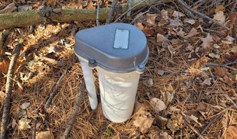 1091 Plum Valley Rd NW, Alden, MI 49612