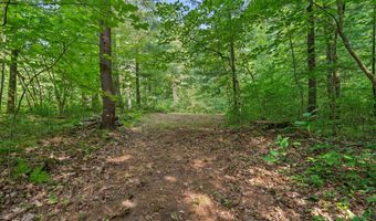 1125 39th St, Allegan, MI 49010