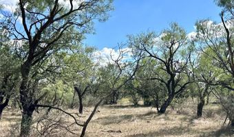 Tbd TBA County Road 100, Abilene, TX 79601