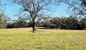 18760 Leon Wiggins Rd, Andalusia, AL 36420