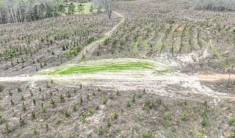 919 County Road 6628, Banks, AL 36005