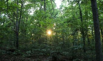 Whiskey Creek Lane, Batesville, AR 72501