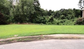 241 LAKEWOOD Cir Lot 10, Adamsville, AL 35005