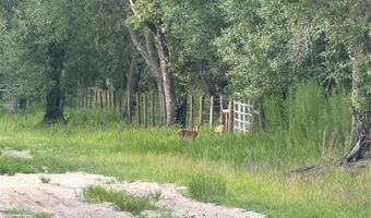 SE BROWN ROAD, Arcadia, FL 34266