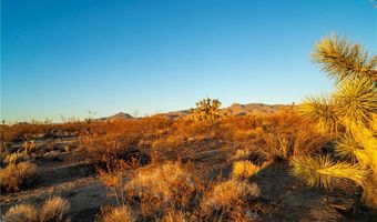 2641 S Javelina Rd, Yucca, AZ 86438