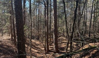 Cr 127, Abbeville, MS 38601