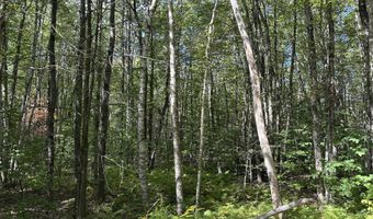 35-3 Jones Hill Rd, Appleton, ME 04862