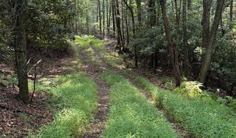 Hall Hollow Road, Austinville, VA 24312