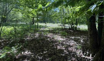 Map 5 Lot 14-3 Stockbridge Corner Road, Alton, NH 03809