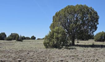 Ten Tanks Rd lot 6, Ash Fork, AZ 86320