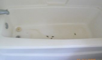 617 Hampton St, Americus, GA 31709