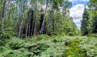 33 Acres Off Net Riv, Amasa, MI 49903