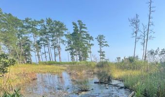 Strawhorn Creek Road lot 2 & 3, Aurora, NC 27806