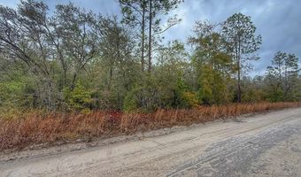 NW 10th Ave, Bell, FL 32619