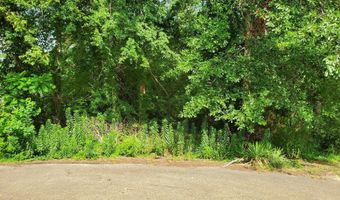 136 Plum Tree Rd, Brandon, MS 39047