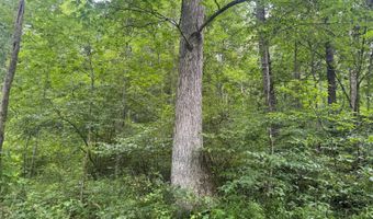 37928 Buck Run Rd, Albany, OH 45710