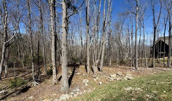 ES71 Twisted Oak Path, Banner Elk, NC 28604