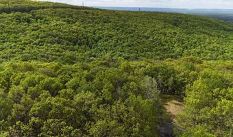 Arciel Drive, Albrightsville, PA 18210