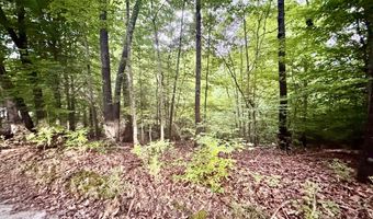 12 Acres Horton Dr, Abbeville, SC 29620