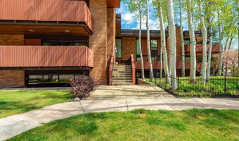 400 W Hopkins Ave 5, Aspen, CO 81611