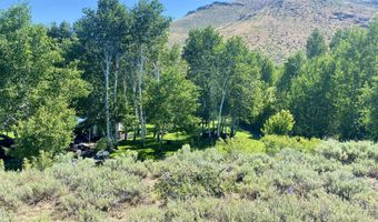 900 Little Wood Resv Rd, Carey, ID 83320